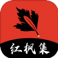WWW,305av·COM网站APPAPP应用