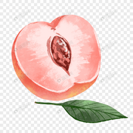 WWW,se841·COM网站APPAPP应用